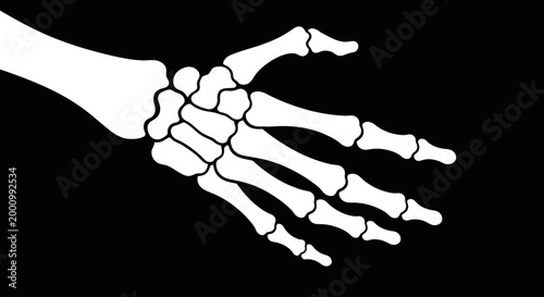Illustration of a human hand skeleton on a black background.