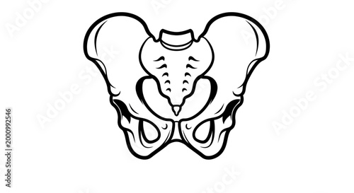 Anatomical line drawing of human pelvis and sacrum bone structure.