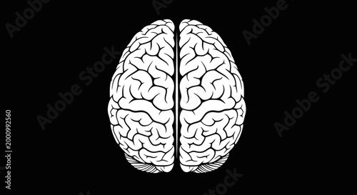 Detailed top view illustration of human brain anatomy on black background.