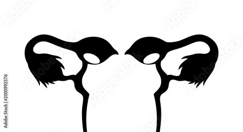 Abstract illustration of female reproductive system anatomy stylized as bird silhouettes.