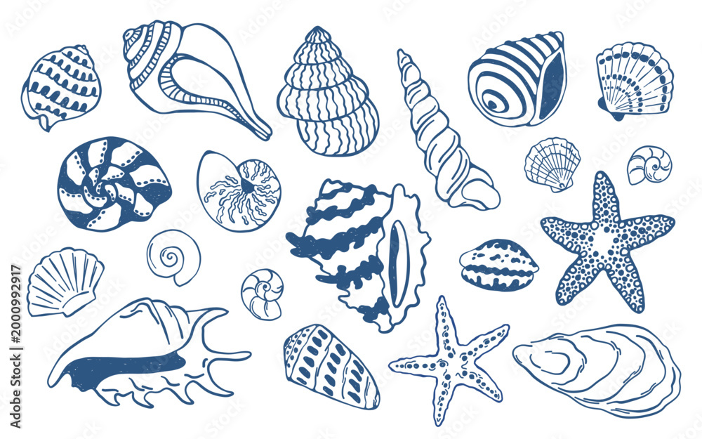 Obraz premium Vector set of hand drawn seashells in doodle style. Marine collection with conch, scallop and starfish elements for beach design, textile prints, packaging, coastal decor and summer themed graphics