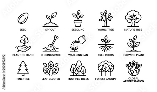 Plant growth icons showing seed to mature tree stages