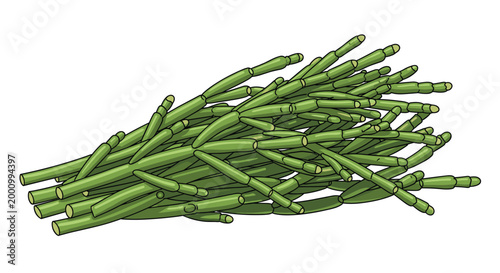 A vibrant bunch of fresh sea beans, also known as samphire, showcasing their slender, succulent green stalks, representing a unique and healthy coastal vegetable.