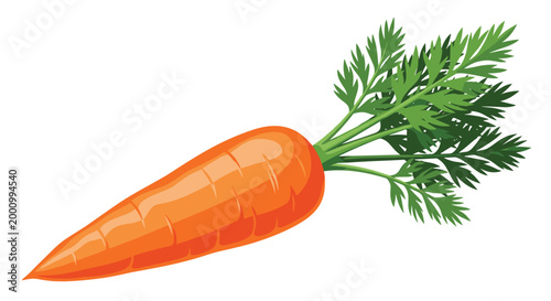 A crisp, vibrant single carrot, complete with its fresh green leafy top, showcasing its classic orange color and tapered shape, a quintessential healthy root vegetable.