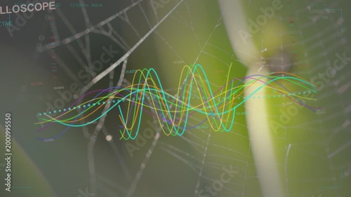 Dotted cyan trajectory appearing, colorful waves moving across web and stem visualizing vibrations