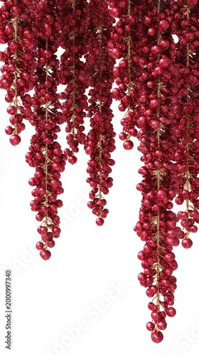 Textured deep red berry clusters with gold accents hanging down