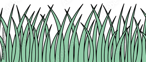 Green grass. Tall thickets of swaying weeds. Seamless horizontal vector border. Isolated colorless background. Endless print of lush vegetation.