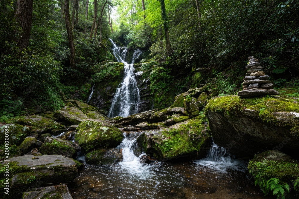 Obraz premium Lush forest waterfall cascading into a mossy, rocky stream