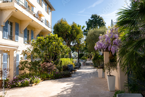 Fotografie Sunlit garden courtyard in Antibes beside a cream Mediterranean villa with blue shutters, wrought iron balconies, planters of lavender wisteria, and a gated walkway