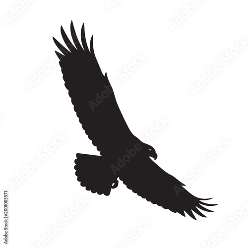 Flying eagle silhouette, majestic bird of prey soaring with outstretched wings