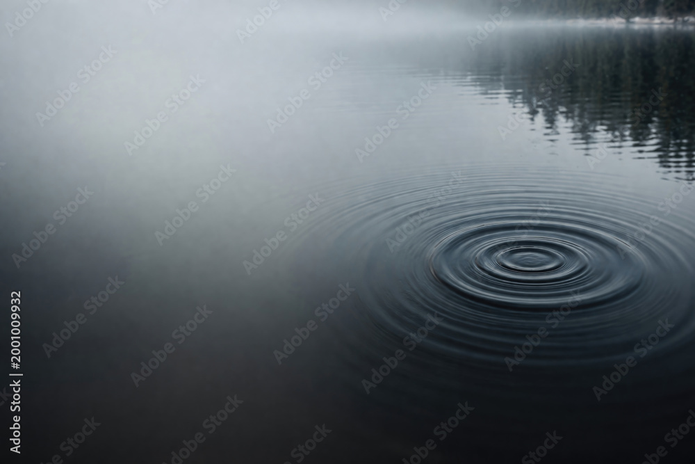 Fototapeta premium Close-up of circles on the water on a foggy lake. Space for text.