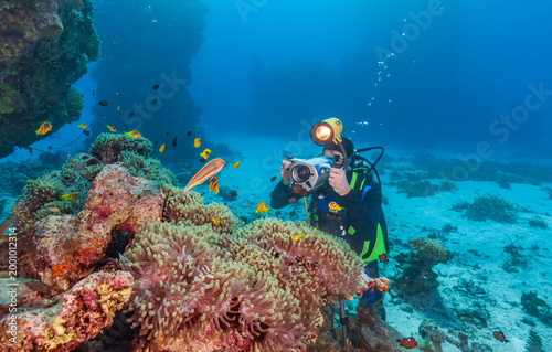 Underwater photographer filming clownfish and anemones on a coral reef in the Red Sea.