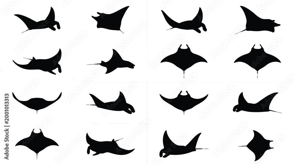 Fototapeta premium Collection of Manta Ray Silhouettes in Various Dynamic Poses.