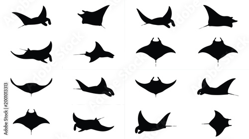 Collection of Manta Ray Silhouettes in Various Dynamic Poses.