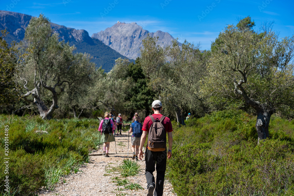 Fototapeta premium Mallorca, Spanien: Wanderung auf dem GR 221 zum Kloster Lluc, Santuari de Santa Maria de Lluc - Wandergruppe, im Hintergrund der Puig Major