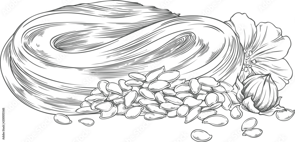 Obraz premium Flax seed pile and herbal cream cosmetics product vector sketch, hand drawn Linen cereal crops harvest engraved