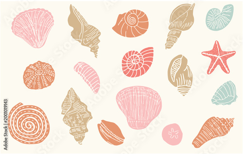 hand drawn colorful seashells and marine life vectors of starfish, nautilus, and various shells in ink crayon line art style. Ideal for summer branding, coastal decor, Mediterranean beach design
