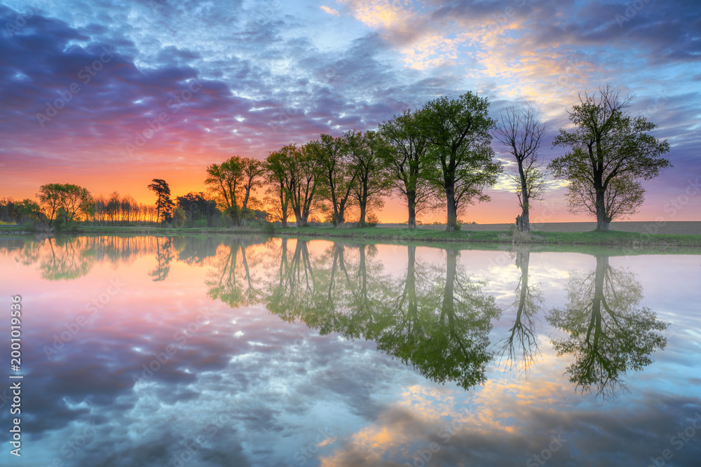 Fototapeta premium Beautiful sunrise over lake in the forest