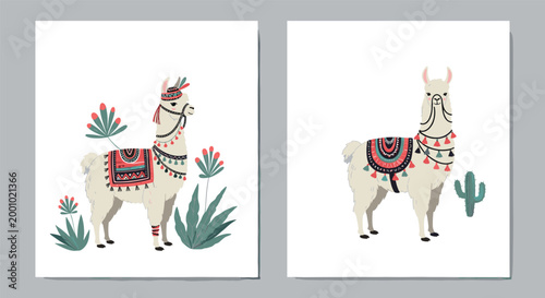 Two illustrated white llamas wearing traditional colorful blankets and tassels standing next to green plants and a desert cactus.