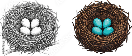 Bird Nest with Three Eggs in Natural and Colored Variations, Hand-Drawn and Digital Artwork for Nature and Wildlife Themes