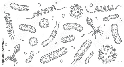 Hand Drawn Microorganisms Collection Featuring Various Bacteria, Viruses, and Bacteriophages in Vintage Sketch Style