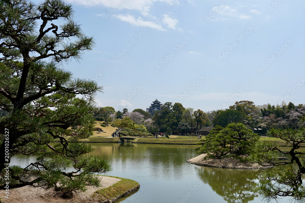 Obraz premium Okayama Castle Overlooking Korakuen Garden Pond With Cherry Blossoms and Traditional Japanese Landscape