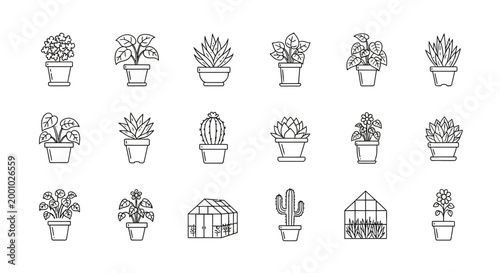Botanical line art collection potted plants cacti and miniature greenhouses in black and white