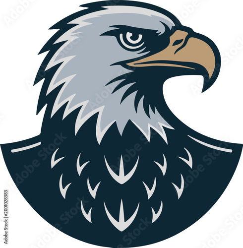 4th of July USA Patriotic vector design