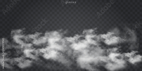 Fog or smoke isolated transparent special effect. White vector cloudiness, mist or smog background. Vector illustration