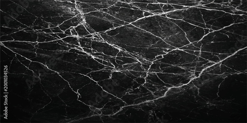 Intricate veining patterns of the exquisite dark marble, a testament to the Earth's timeless artistry. This natural stone surface showcases the elegance and sophistication of luxury design.