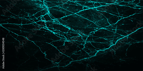 Abstract luminous network, a mesmerizing display of interconnected lines in a radiant aquamarine hue, intricately etched against a dark background, offering a glimpse into an extraordinary.