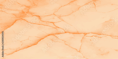 A captivating macro shot presents a mesmerizing display of intricate veining, evoking a sense of enduring elegance and refined beauty.