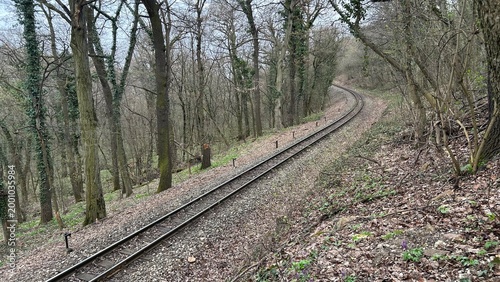 Rural surface and infrastructure texture. Spring forest with tram or train track, perspective view.