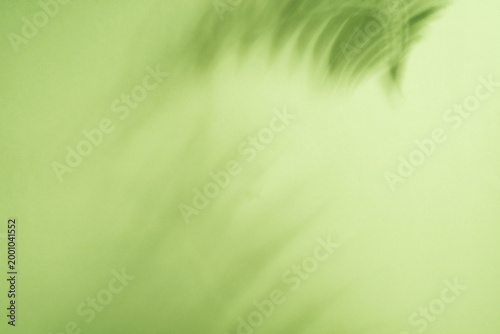 Bild auf Leinwand Abstract green background with gentle blur, evoking  palm leaves shadows