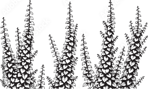 Detailed black and white illustration of lush green plant stems with abundant leaves in a repeating pattern, creating a natural organic texture