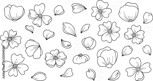 Outline drawing of various blooming flowers and falling petals scattered across a white background, illustrating natural beauty and botanical elements for artistic designs and decorations.