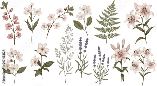 Botanical flower set with blooming branches, lavender, fern and floral elements, elegant vintage style hand drawn vector illustration collection isolated on white background