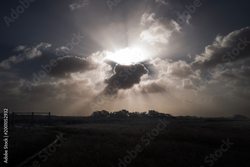 paysage de marine sur l'île d'Oléron en Charente Maritime en France en Europe occidentale