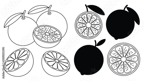 Orange fruit icon set, citrus vector collection with linear and silhouette styles featuring fresh orange slices for healthy food, nutrition, juice branding, and organic diet design concepts