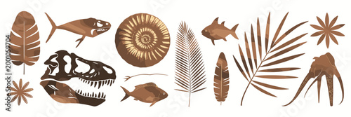 Collection of brown fossilized and prehistoric flora, including dinosaur skull, ammonite, fish, and palm leaves