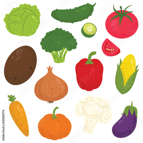 Vegetable Collection Vector with Tomato Potato Carrot Broccoli Onion and Pumpkin