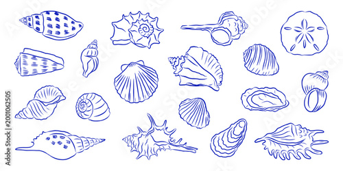 Hand drawn Seashell set. blue line art mediterranean doodle style. La Dolce Vita. Ideal for marine design, prints, coloring pages, summer packaging, coastal themed decor. Vector illustration