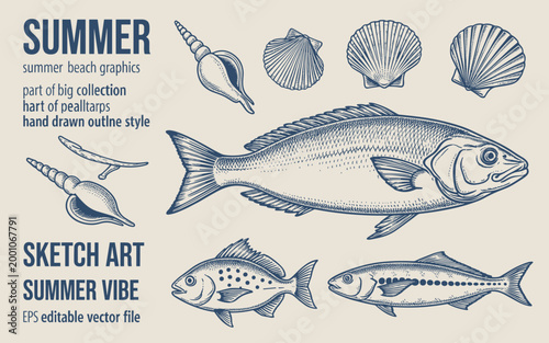 Hand-drawn of marine life, including fish and seashells, in navy blue ink on a beige background ocean