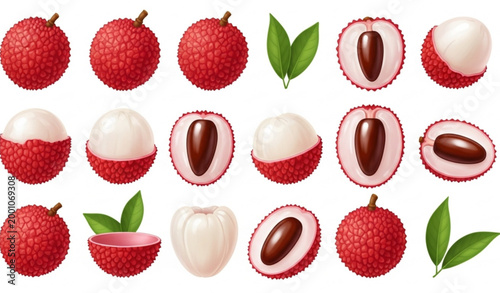 Tropical lychee fruit illustration collection with peeled and whole fruits vector set