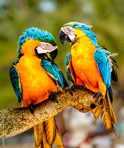 Are You Offended, Babe?