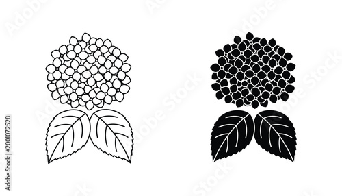 Hydrangea flower icon outline and solid black version representing flora vector graphic
