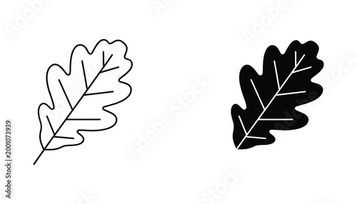 Isolated oak leaf silhouette and outline vector graphic on white background symbolizing autumn and nature