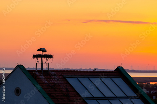 White stork resting on rooftop nest in Morbisch, Austria at colorful sunset above solar panels, capturing peaceful wildlife, warm evening light and sustainable countryside living.