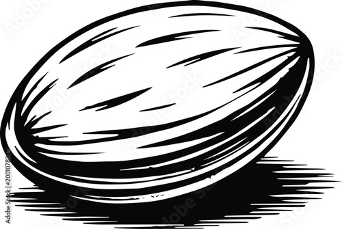 almond vector illustration lineart engraving etching texture