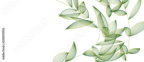 Minimalist elegant green botanical line art foliage banner with ample copy space on white background